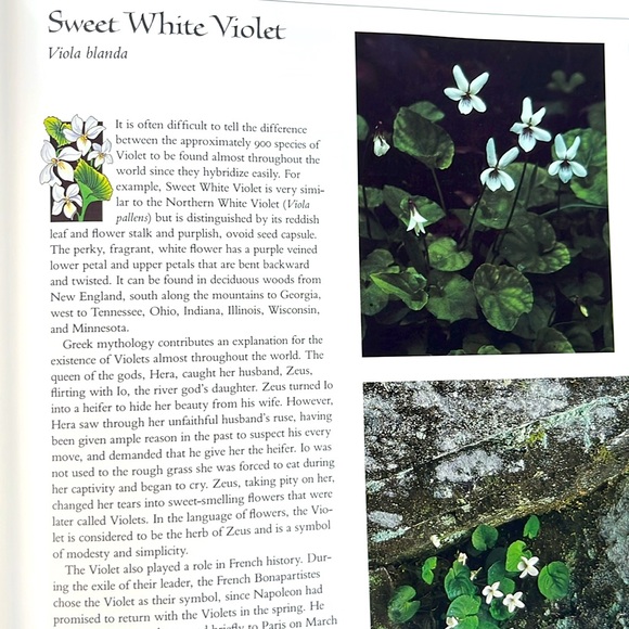 USPS Wildflowers A Collection Of U.S. Commemorative Stamps Hardcover Book - Picture 14 of 16